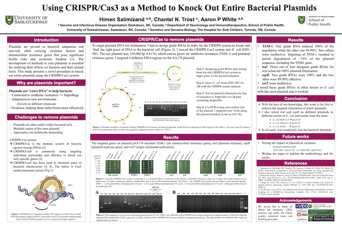Himen Salimizand's Poster