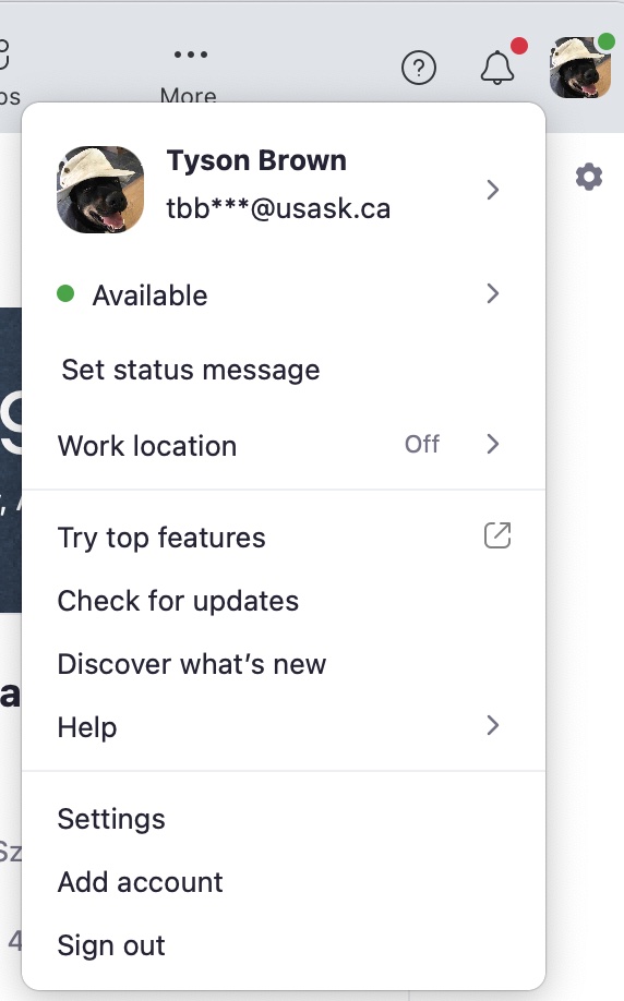 Signed Into Your Zoom Account